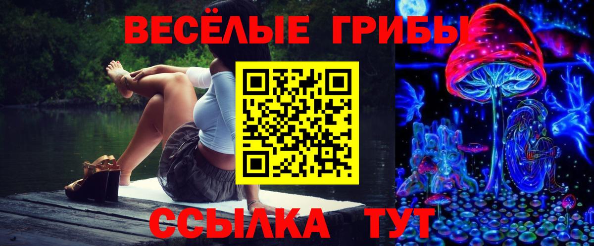 Псилоцибиновые грибы прущие грибы Каменск-Шахтинский