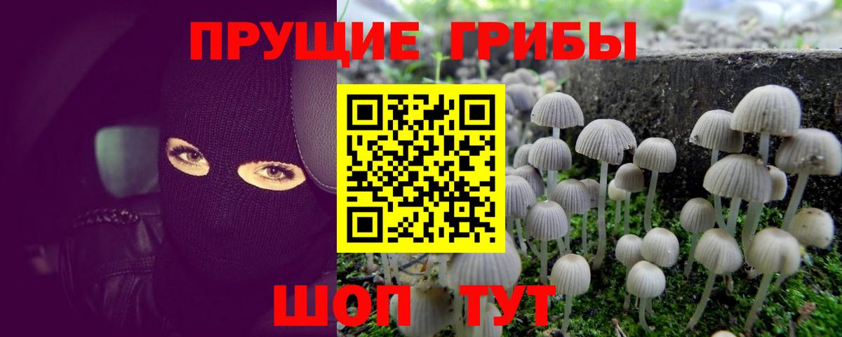 Псилоцибиновые грибы Psilocybe  Вход с VPN  Галлюциногенные грибы прущие грибы  Каменск-Шахтинский 